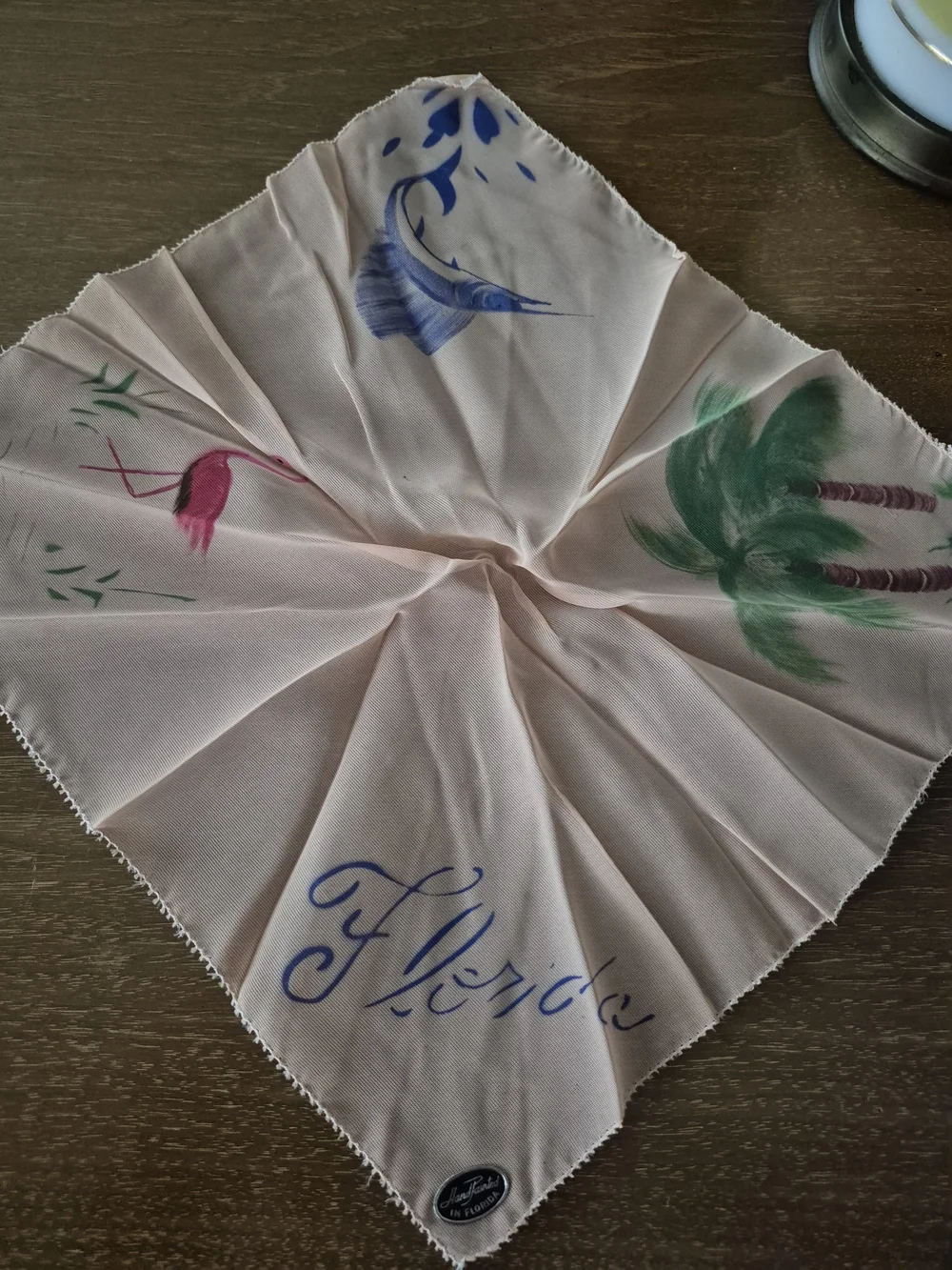 Vintage Hand Painted Florida Handkerchiefs Set - Chiffon Pink & White
